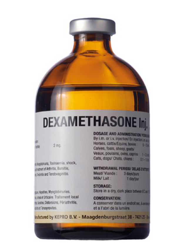 Side Effects Dexamethasone Patch